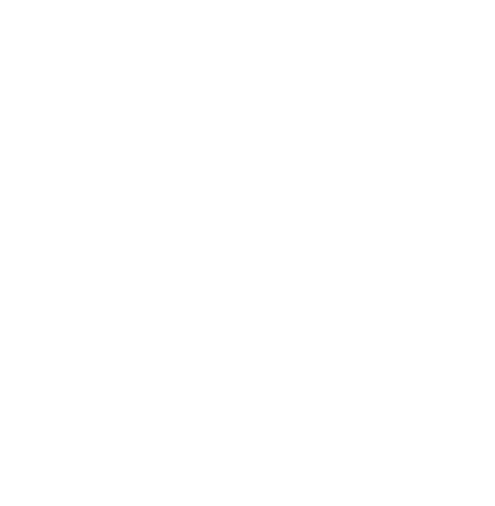 BGW Orga-Check Zertifikat